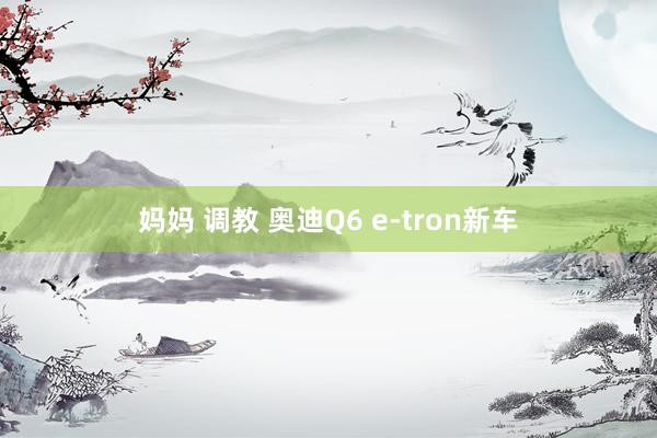 妈妈 调教 奥迪Q6 e-tron新车