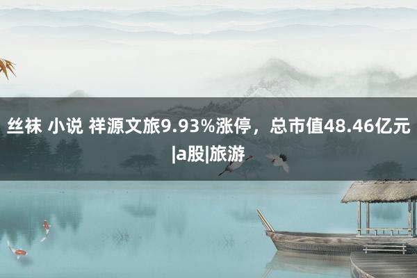 丝袜 小说 祥源文旅9.93%涨停，总市值48.46亿元|a股|旅游