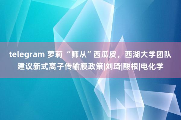 telegram 萝莉 “师从”西瓜皮，西湖大学团队建议新式离子传输膜政策|刘琦|酸根|电化学