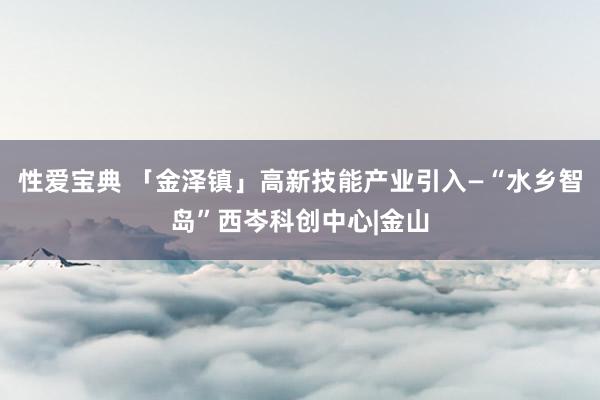 性爱宝典 「金泽镇」高新技能产业引入—“水乡智岛”西岑科创中心|金山