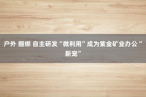 户外 捆绑 自主研发“微利用”成为紫金矿业办公“新宠”